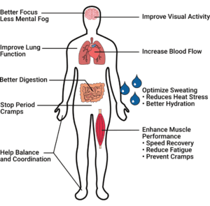 About Potassium – Krampade